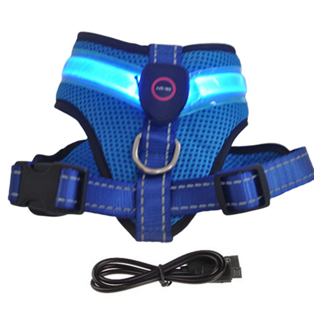 Allergy-Free LED Dog Harness – Safe, Stylish, and Comfortable for Sensitive Pets