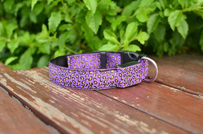 LED Dog Collar – Stylish, Waterproof & Safety-Enhanced Night Glow with Adjustable Fit