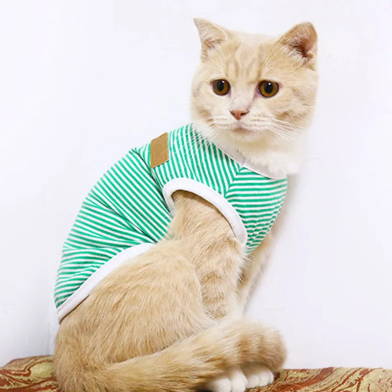 Striped Cat Vest – Classic Fashion for Feline Trendsetters