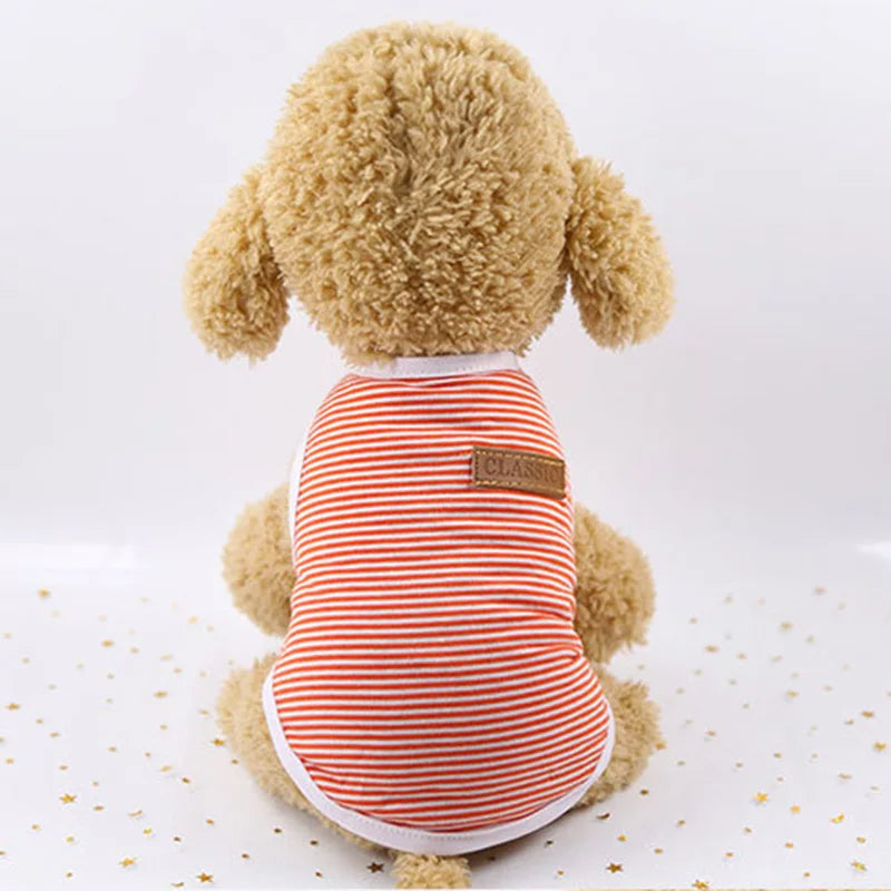 Striped Cat Vest – Classic Fashion for Feline Trendsetters