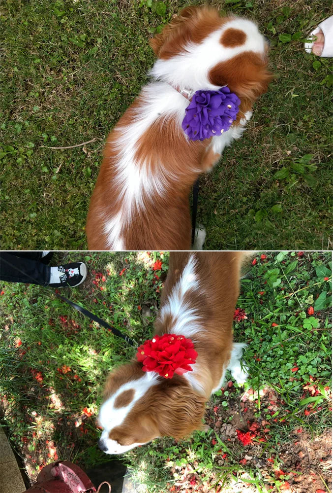 Big Flower Pet Collar Charms – Stylish & Easy-to-Remove Accessories for Cats and Dogs