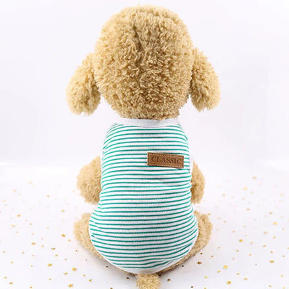 Striped Cat Vest – Classic Fashion for Feline Trendsetters