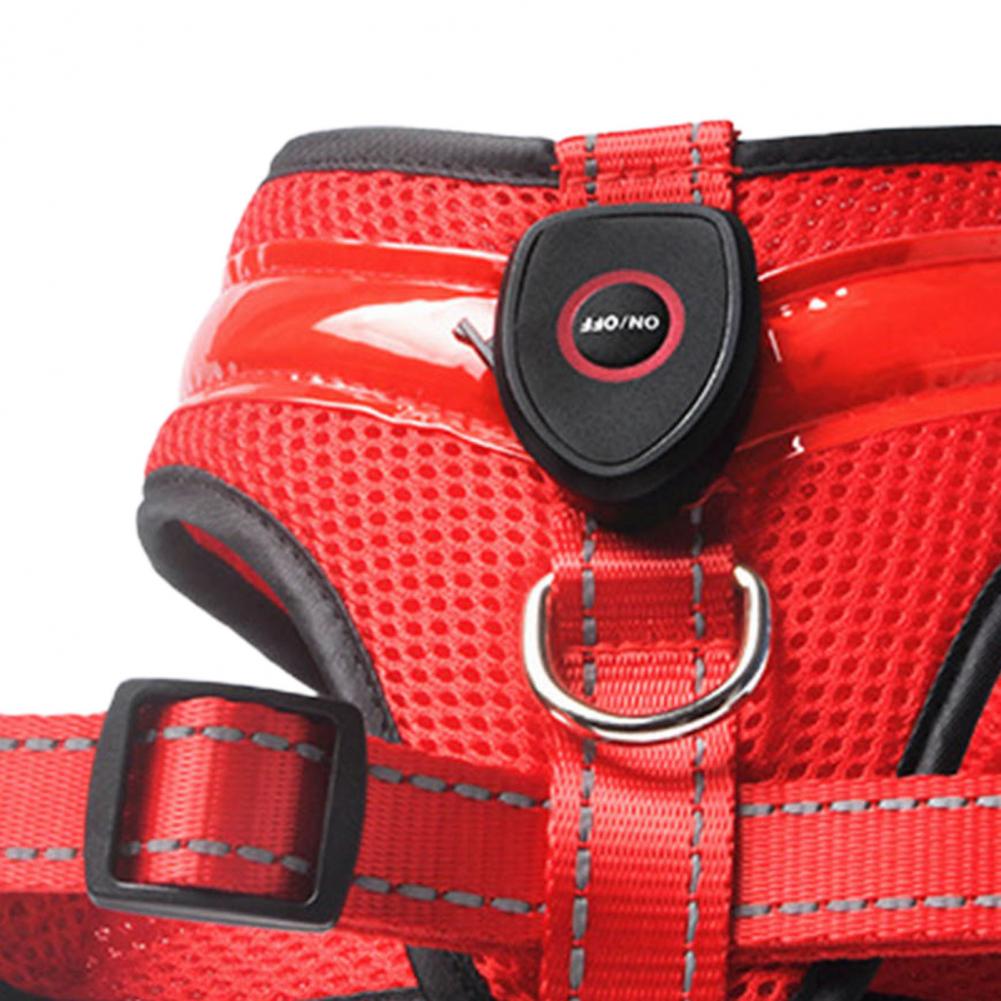 Allergy-Free LED Dog Harness – Safe, Stylish, and Comfortable for Sensitive Pets