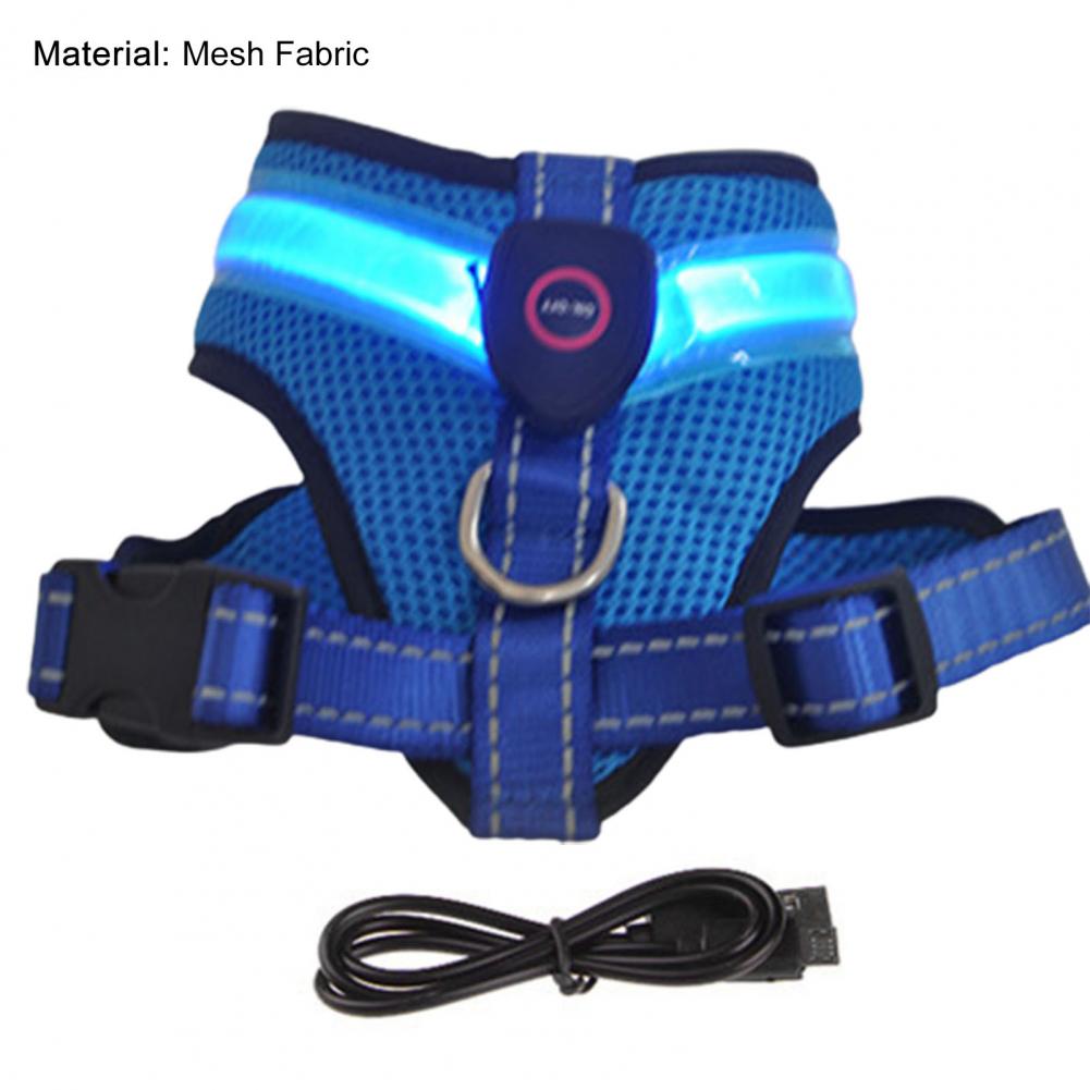 Allergy-Free LED Dog Harness – Safe, Stylish, and Comfortable for Sensitive Pets