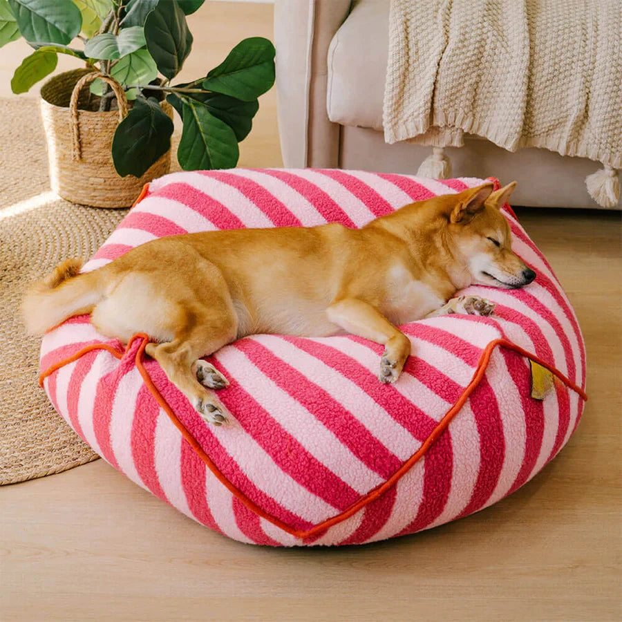 Paw Shape Trendy Striped Pattern Pet Dog Bed All Seasons Polygonal Calming Bean Bag Dog Bed Cozy and Comfy Pet Cushion for Puppy