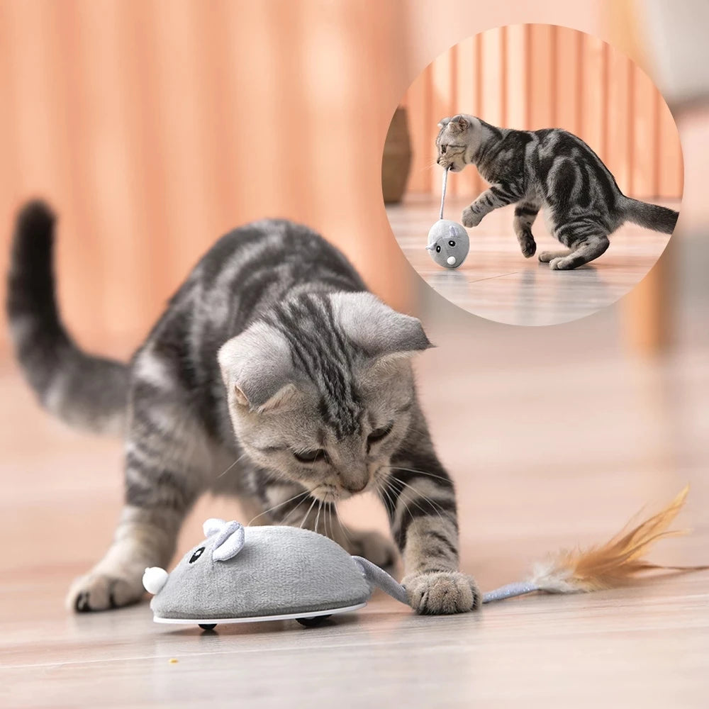 Dropshipping USB Charging Interactive Electric Stuffed Smart Mouse Pet Cat Teaser Toy