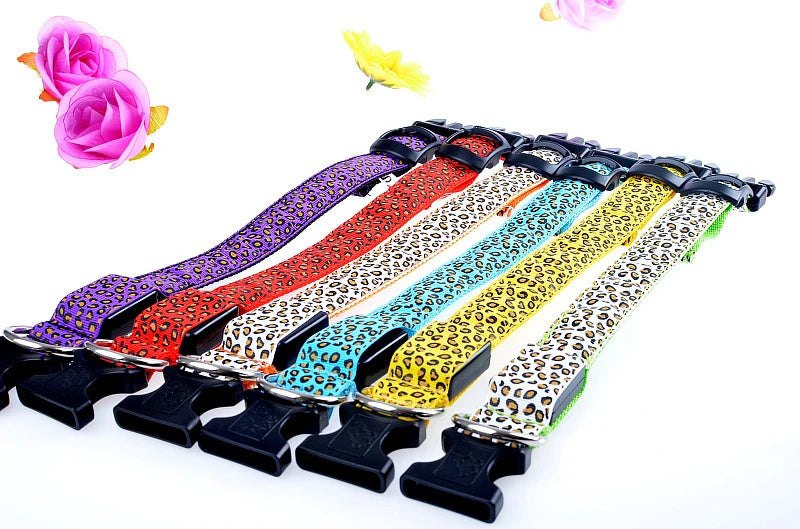 LED Dog Collar – Stylish, Waterproof & Safety-Enhanced Night Glow with Adjustable Fit