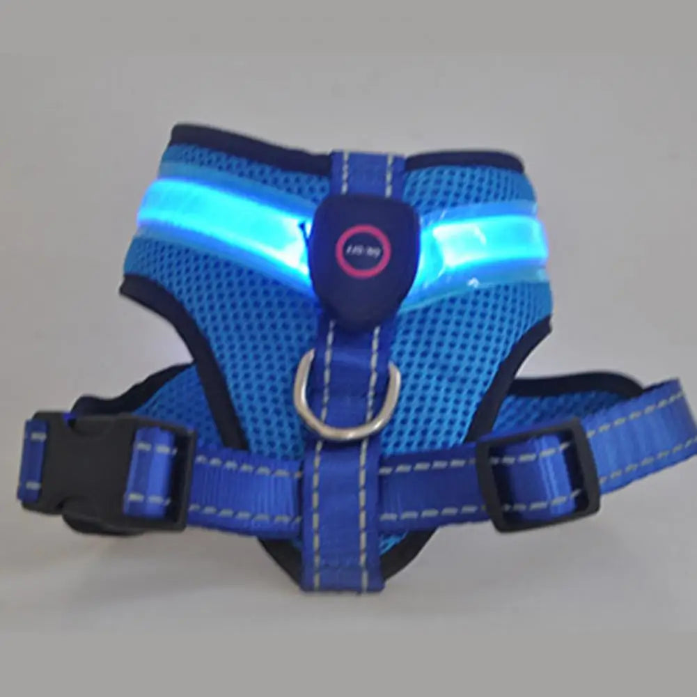 Allergy-Free LED Dog Harness – Safe, Stylish, and Comfortable for Sensitive Pets