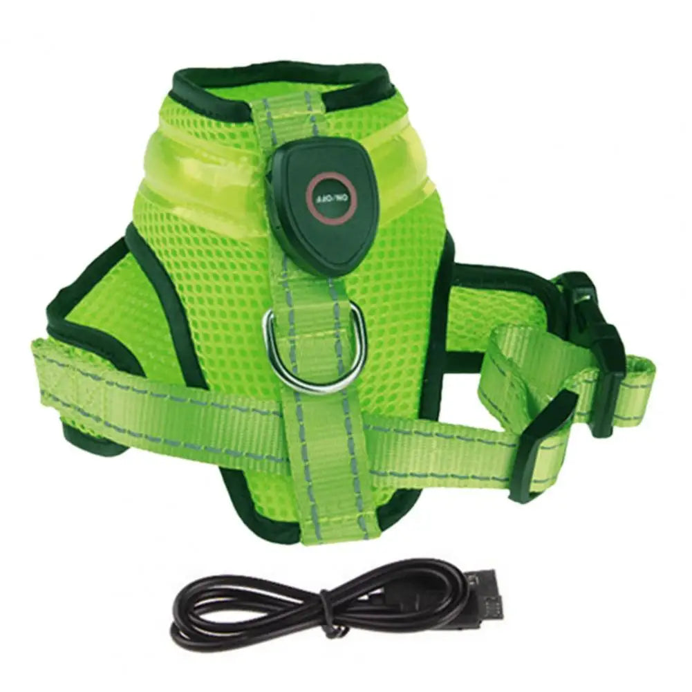 Allergy-Free LED Dog Harness – Safe, Stylish, and Comfortable for Sensitive Pets