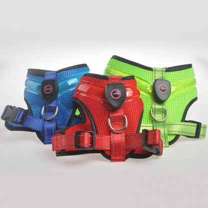 Allergy-Free LED Dog Harness – Safe, Stylish, and Comfortable for Sensitive Pets