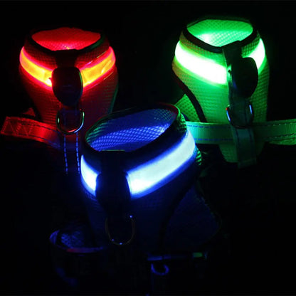 Allergy-Free LED Dog Harness – Safe, Stylish, and Comfortable for Sensitive Pets