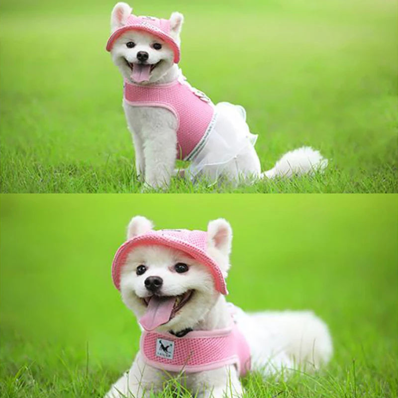 Cool & Comfy Summer Sunhats for Your Active Doggy – Lightweight Mesh & Canvas Styles for Pets Big and Small!