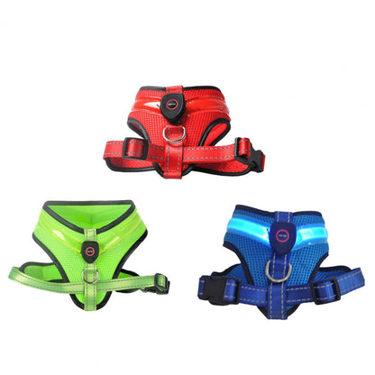 Allergy-Free LED Dog Harness – Safe, Stylish, and Comfortable for Sensitive Pets