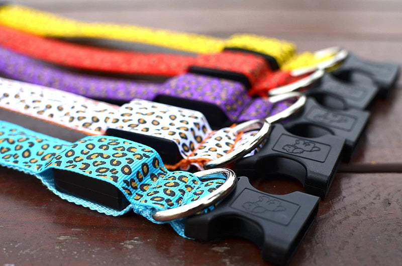 LED Dog Collar – Stylish, Waterproof & Safety-Enhanced Night Glow with Adjustable Fit