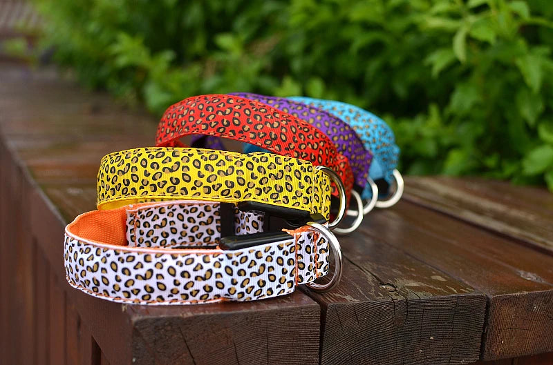LED Dog Collar – Stylish, Waterproof & Safety-Enhanced Night Glow with Adjustable Fit