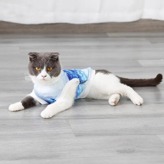 Sizzle and Chill: Summer Cooling Vest for Your Furry Friends!