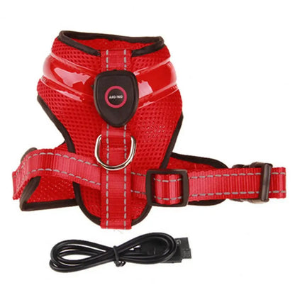 Allergy-Free LED Dog Harness – Safe, Stylish, and Comfortable for Sensitive Pets