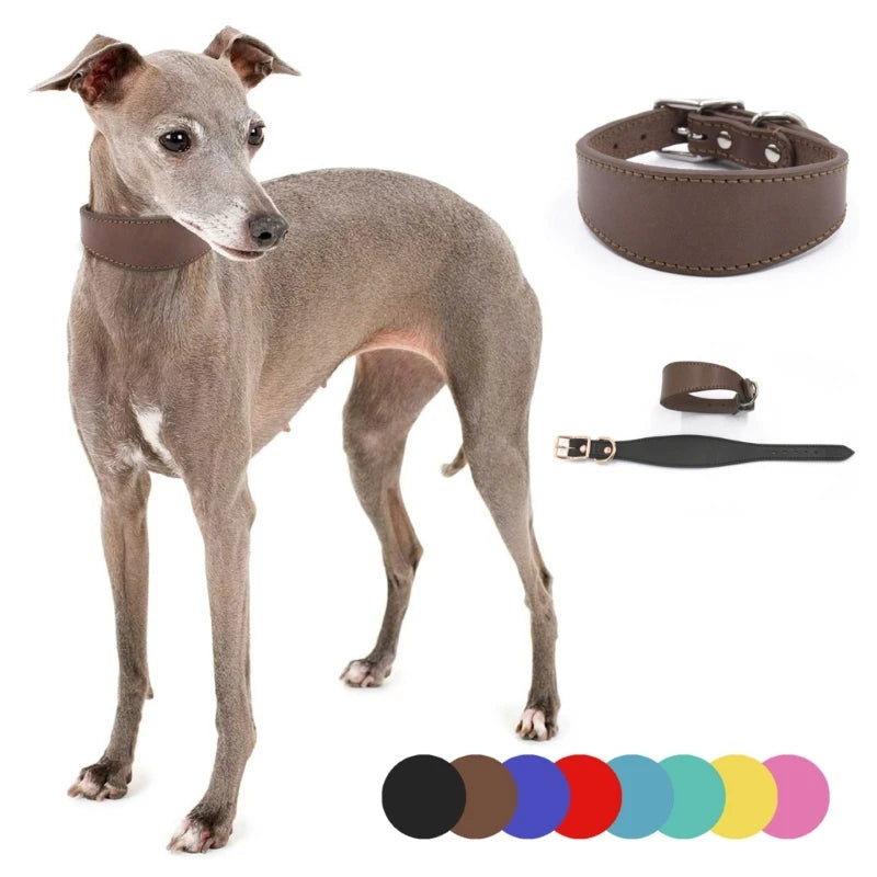 Premium Leather Dog Collar – Stylish, Comfortable & Designed for Sighthounds