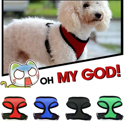 Breathable Mesh Dog Harness – Comfort, Style & Safety for Your Pup