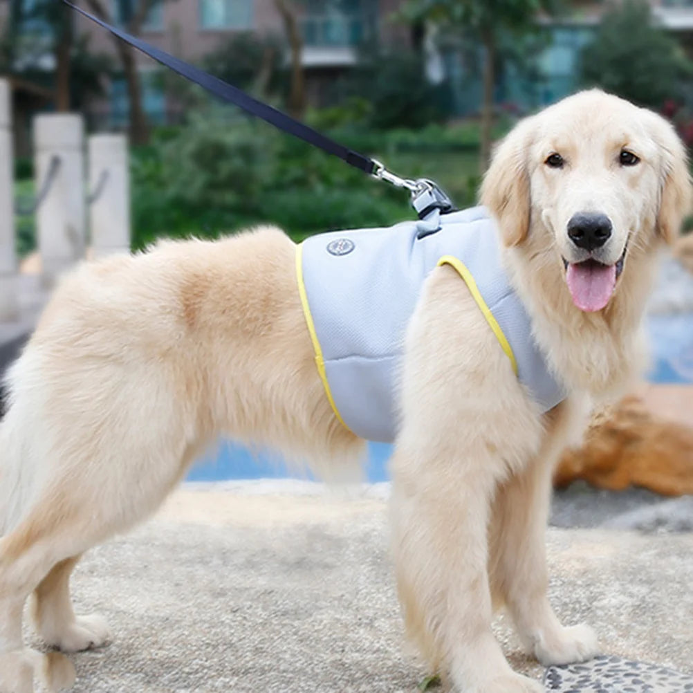 Summer Breeze Cooling Vest: Stylish Comfort for Your Pup's Hot-Weather Adventures!
