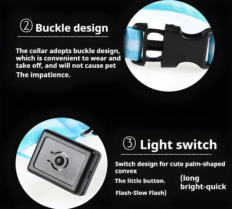 Glow-in-the-Dark LED Dog Collar & Leash – Night Safety for Your Luminous Pet
