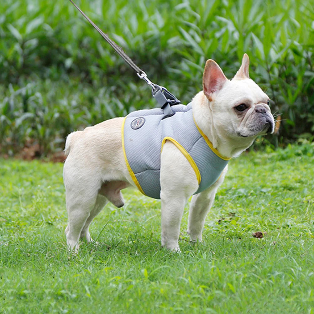 Summer Breeze Cooling Vest: Stylish Comfort for Your Pup's Hot-Weather Adventures!