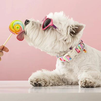 Stylish & Comfortable Summer Dog Collar – Lightweight Cotton, Quick-Release & Adjustable Fit