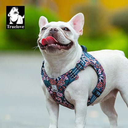 Floral Dog Harness – Stylish, Safe, and Durable for All Breeds