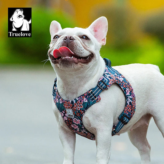 Floral Dog Harness – Stylish, Safe, and Durable for All Breeds