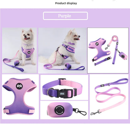 Adjustable Mesh Pet Harness & Leash Set – Vibrant Colors