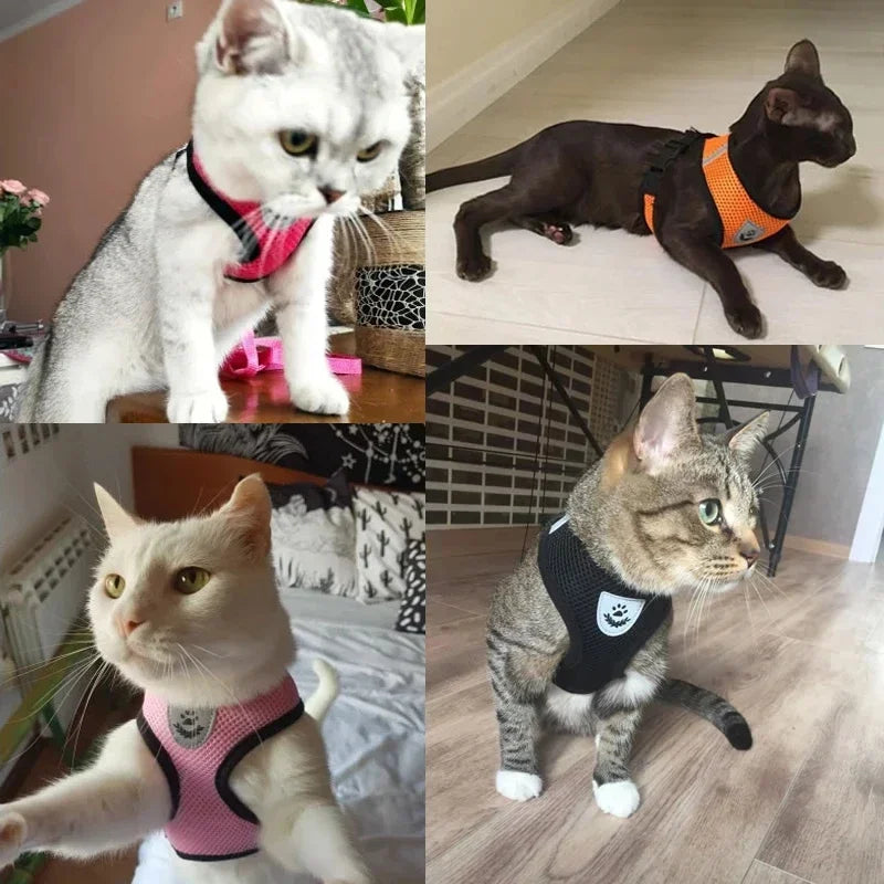 Adjustable Reflective Cat Harness & Leash Set – Soft Mesh for Cats and Small Dogs