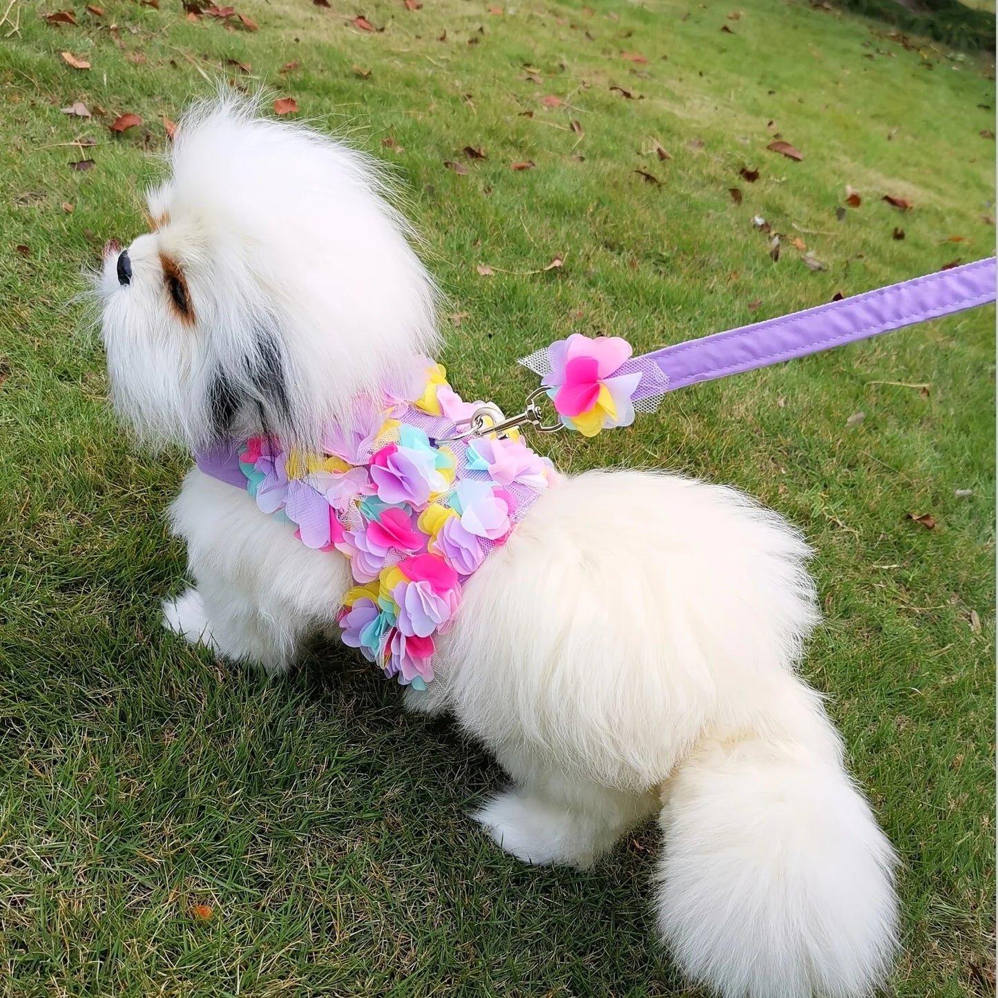 Floral Pet Dog Harness & Leash Set – For Small Cats and Dogs