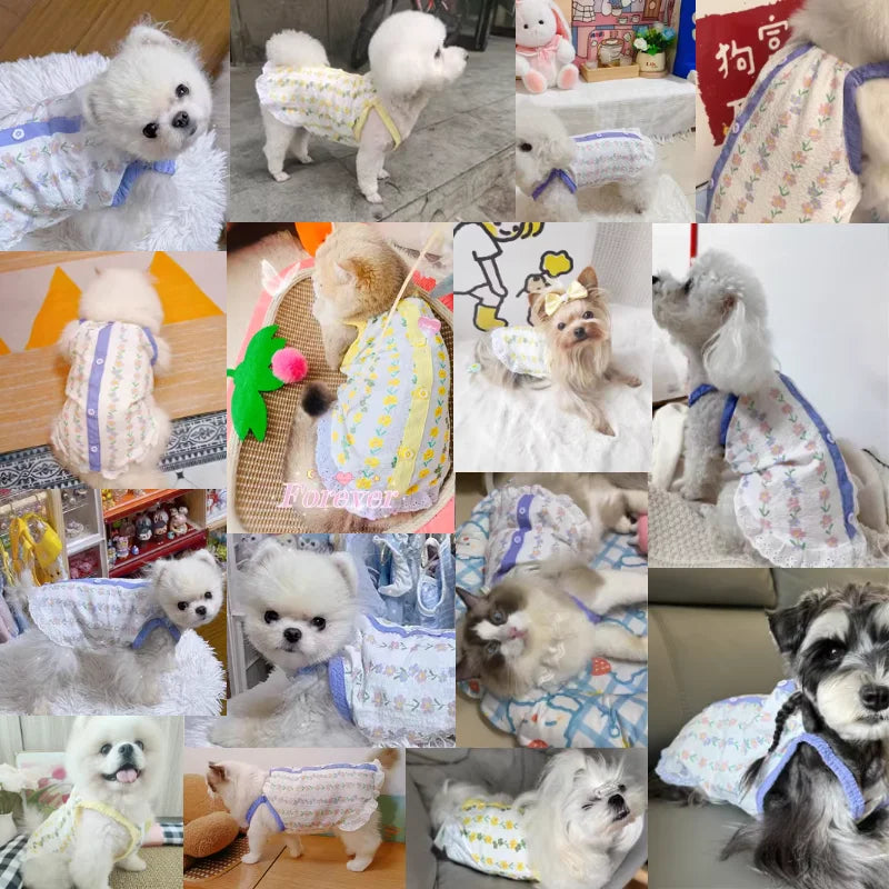 Sunshine Ready: Adorable Puppy Suspenders Summer Cooling Vest for Dogs & Cats – Perfect Pet Outfit for Chihuahuas, Bichons, and More