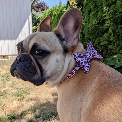Pink Leopard Dog Harness Set – Personalized, Stylish, and Safe for Your Furry Fashionista