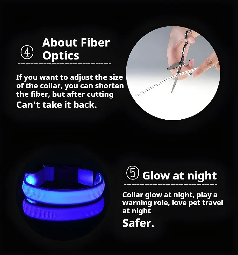 Glow-in-the-Dark LED Dog Collar & Leash – Night Safety for Your Luminous Pet