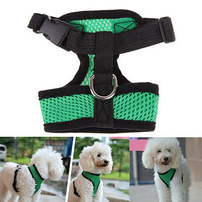Breathable Mesh Dog Harness – Comfort, Style & Safety for Your Pup