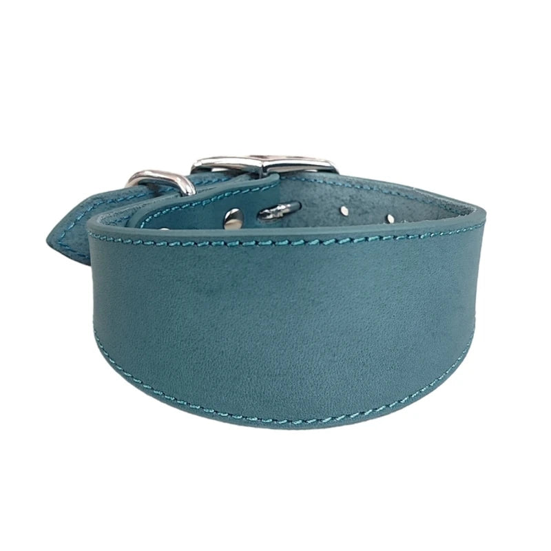 Premium Leather Dog Collar – Stylish, Comfortable & Designed for Sighthounds