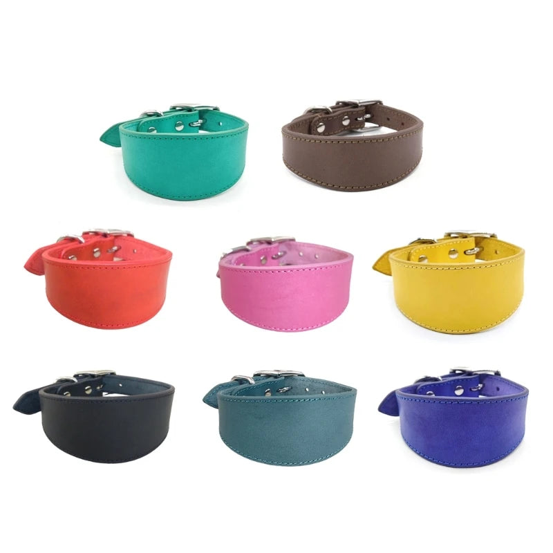 Premium Leather Dog Collar – Stylish, Comfortable & Designed for Sighthounds