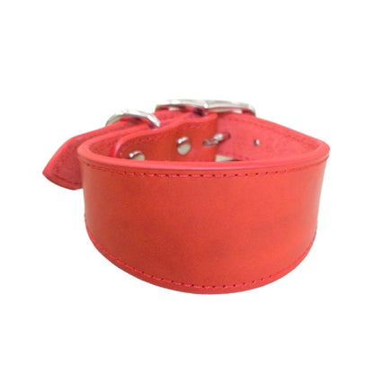 Premium Leather Dog Collar – Stylish, Comfortable & Designed for Sighthounds