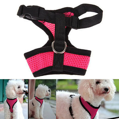 Breathable Mesh Dog Harness – Comfort, Style & Safety for Your Pup