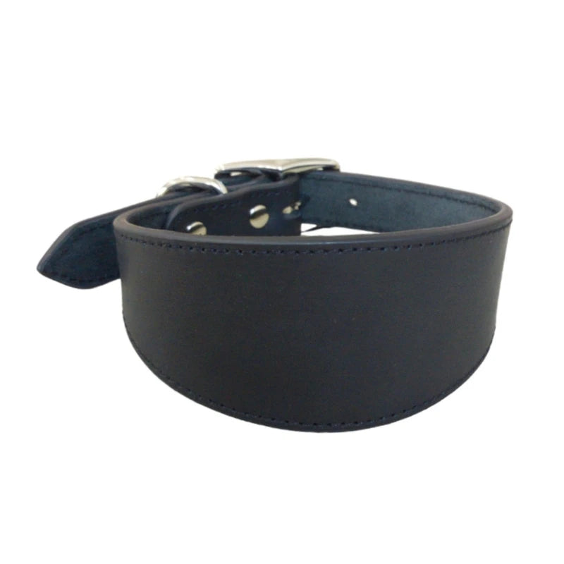Premium Leather Dog Collar – Stylish, Comfortable & Designed for Sighthounds