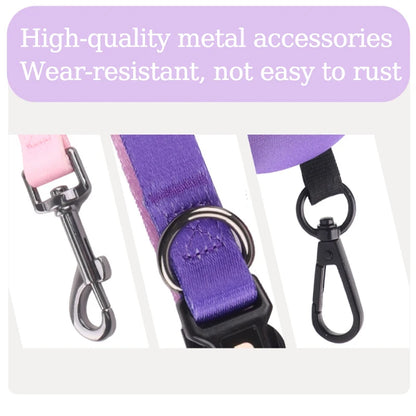 Adjustable Mesh Pet Harness & Leash Set – Vibrant Colors