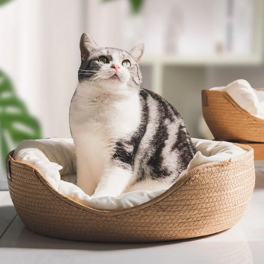 Handmade Bamboo Woven Cat Bed – Cozy, Stylish & Sustainable