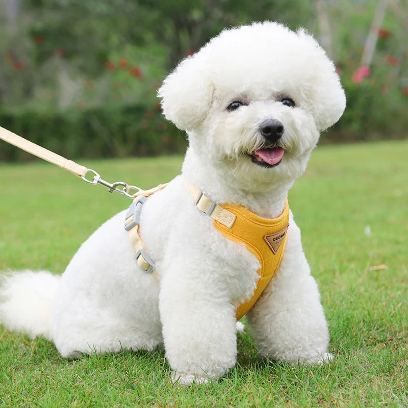 Breathable Cat Harness & Leash Set – Adjustable Vest for Small to Medium Cats and Dogs