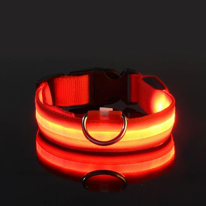 Glow-in-the-Dark LED Dog Collar & Leash – Night Safety for Your Luminous Pet