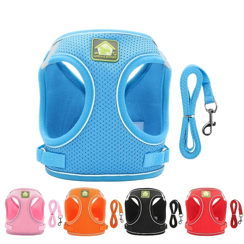 Reflective Cat Harness & Leash Set- Breathable Mesh, Vibrant Colours
