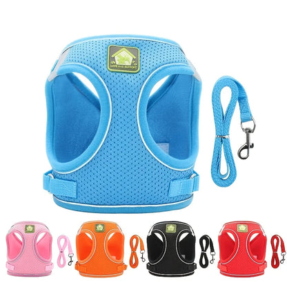 Reflective Cat Harness & Leash Set- Breathable Mesh, Vibrant Colours