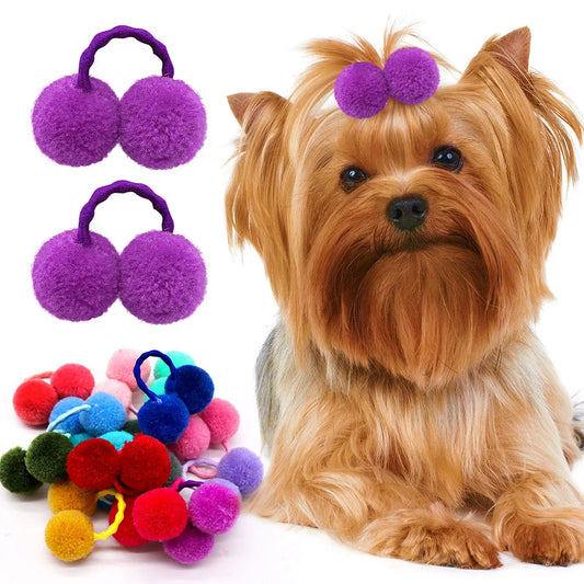 Plush Ball Pet Hair Accessories – Stylish & Fun for Your Furry Friends