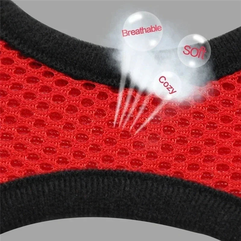 Adjustable Reflective Cat Harness & Leash Set – Soft Mesh for Cats and Small Dogs