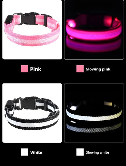Glow-in-the-Dark LED Dog Collar & Leash – Night Safety for Your Luminous Pet